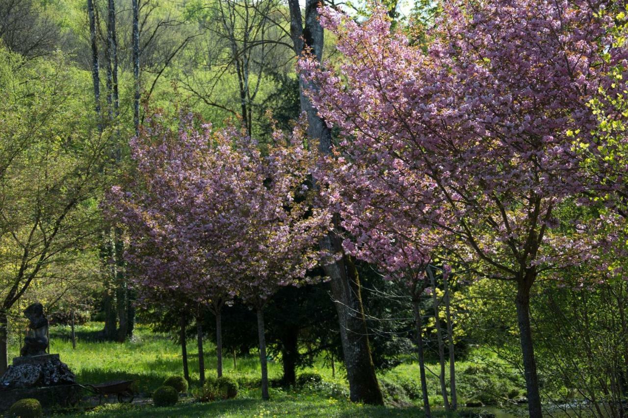 Gite Moulin De La Serree نوي سان جورج المظهر الخارجي الصورة